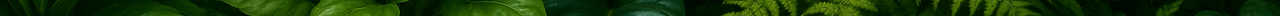 Rilhax footer image