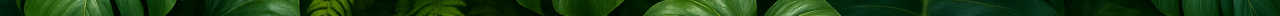 Rilhax header image